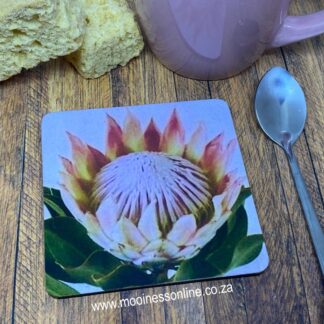 CS0711 Soft Pink Protea Coaster 90x90mm