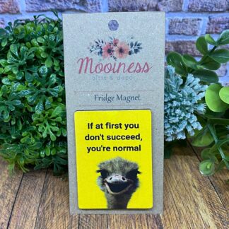 ML0615 At First Don't Succeed Fridge Magnet 45x60mm